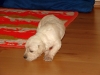 dante-traut-sich-was