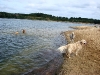 Gespanntes Warten