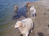 Unsere vier