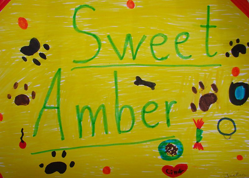 julias-neues-sweet-amber-logo