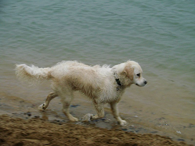 dsc01736