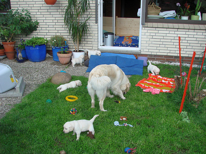spielstunde-mit-mama
