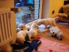 babys-abends-zu-hause