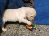 darling-beim-spielen