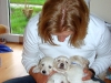 lars-hat-viel-zu-tun