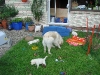 spielstunde-mit-mama