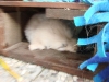 ein-versteck