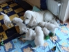 mit-papa-ist-echt-toll