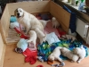 sam-bewacht-seine-kinder