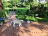 img0004