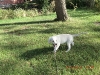 img0007