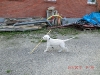 img0017