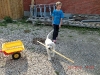 img0018