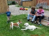 img0037