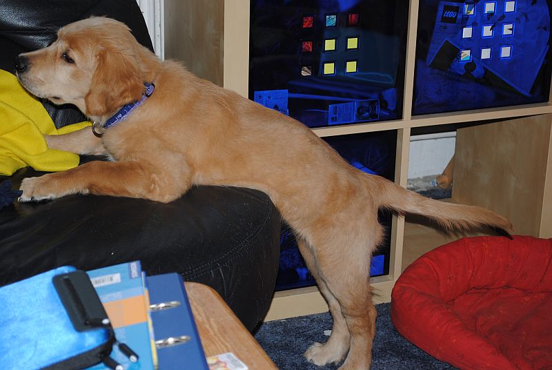 cindy-beim-spielen