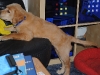 cindy-beim-spielen