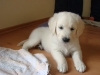 dakota-von-sweet-amber-10-juli-2012
