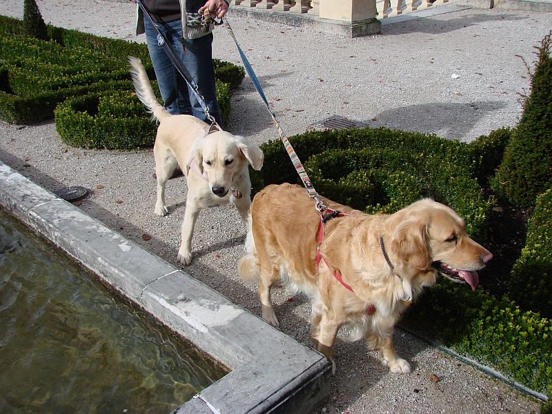 17-oktober-2012 Arielle und Bonnie im Schloßpark