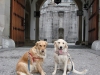 Arielle und Bonita vor dem Tor Neuschwansteins