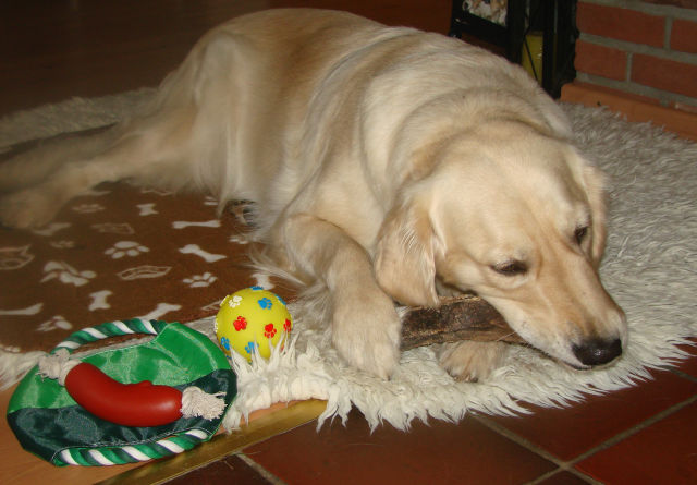 Bonnie mit Geschenken