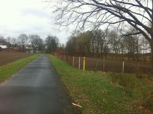 Dörmte- rechts Zuhause von Sam und die große Hundeauslauffläche