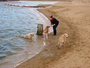 B-Treff vom 12 Mai 2012 Foto 11