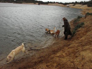 B-Treff vom 12 Mai 2012 Foto 9