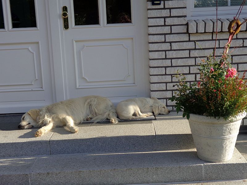 Auch die Haustür will bewacht sein