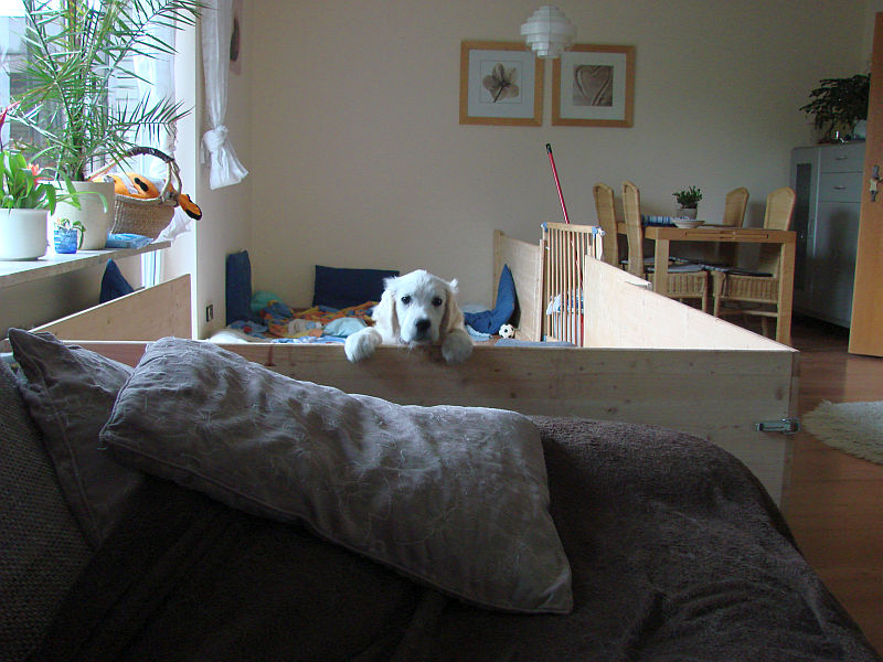 was macht ihr denn da?