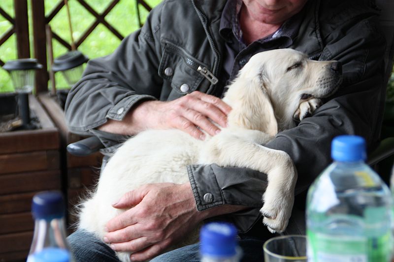 Geburtstagstrfeff D am 1.06.13 060