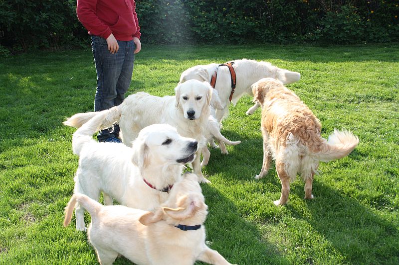 Geburtstagstrfeff D am 1.06.13 123