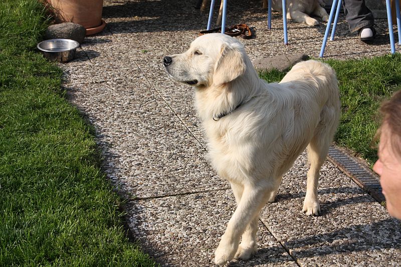 Geburtstagstrfeff D am 1.06.13 141