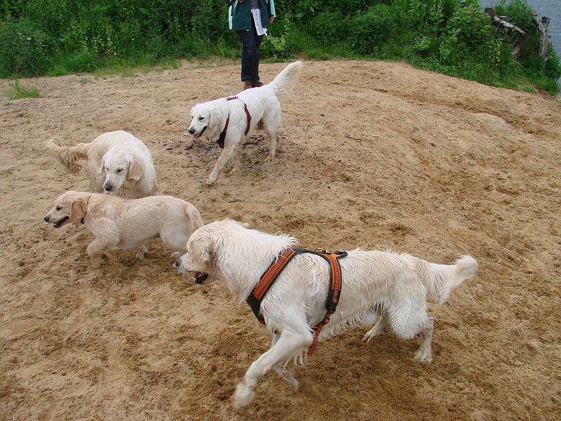 Geburtstagstrfeff D am 1.06.13 258