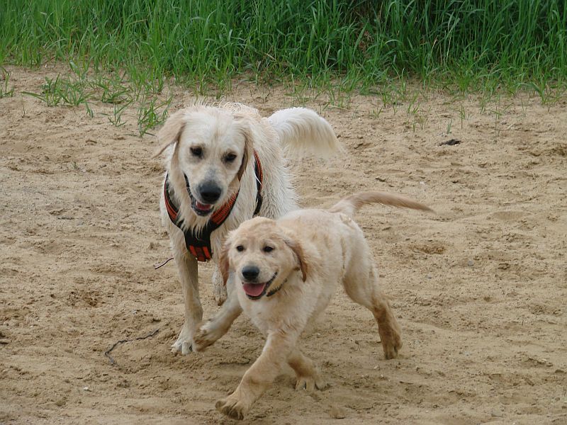 Geburtstagstrfeff D am 1.06.13 278