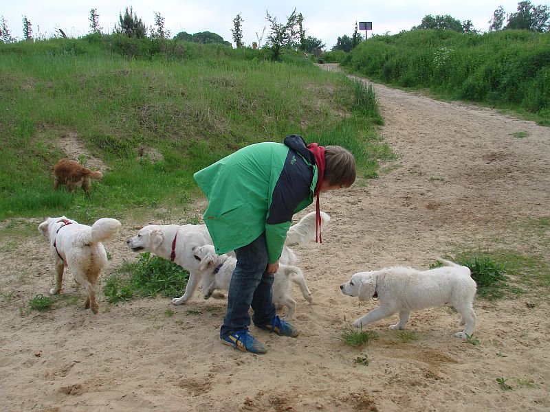 Geburtstagstrfeff D am 1.06.13 324