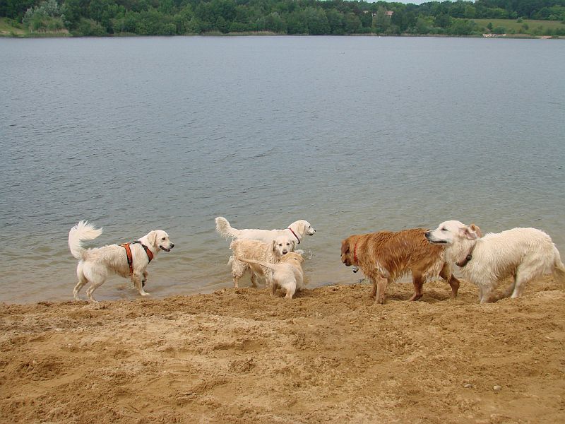 Geburtstagstrfeff D am 1.06.13 331