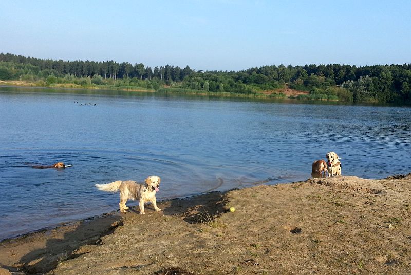 Crazy hat das Roh wieder einmal erobert :O)