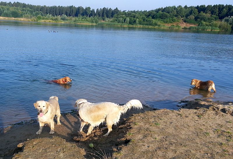 Crazy bringt das Rohr zurück- Bonita setzt an zum Sprint