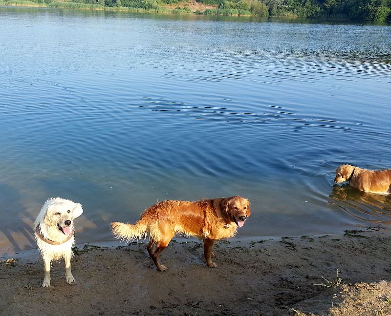 Warten auf den nächsten Wurf