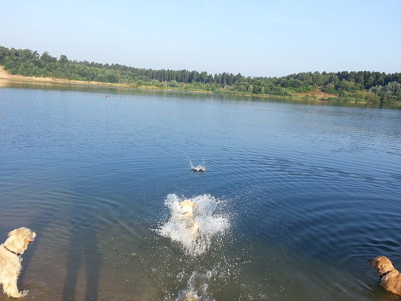 Erst fliegt das Rohr in den See- hinterher Bonita