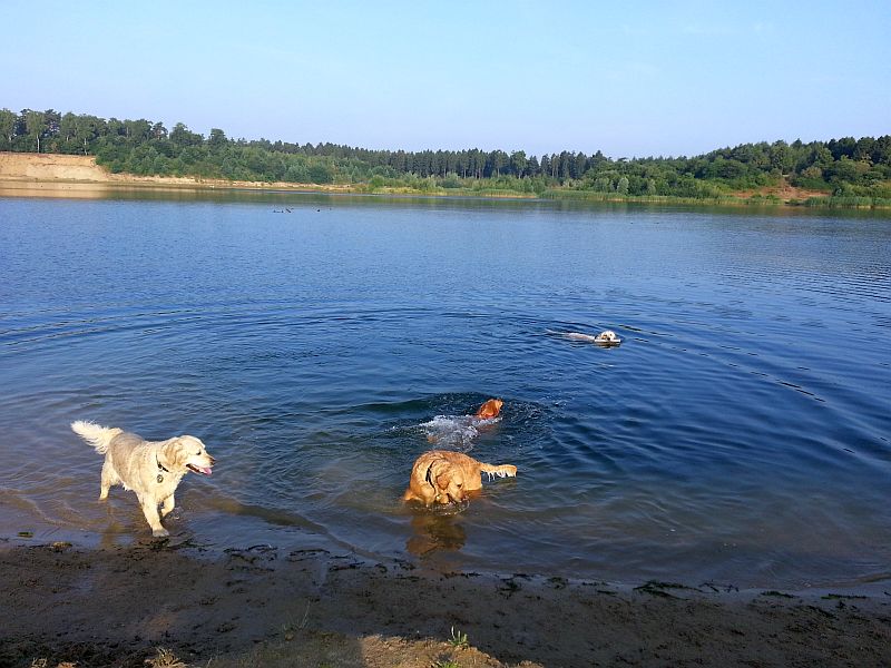 Das Ringen um das Rohr Crazy jagt Bonita