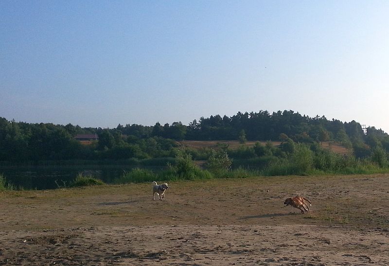 Jagdspiele- Crazy und ihre 5 Minuten