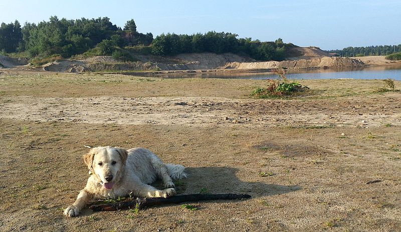 Hera hat auch viel Spaß
