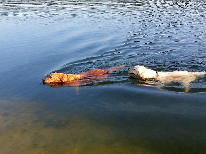 Ich fang dich Schwester!