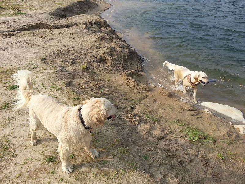 Hera am Ufer und Bonita mit ihrem heißgelibten Rohr