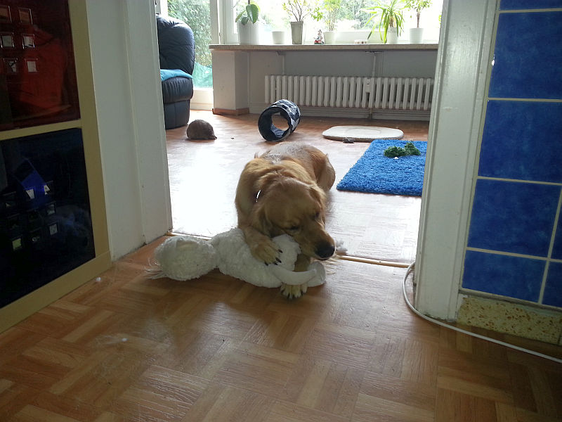 Cinderella mit ihrem Stofftier