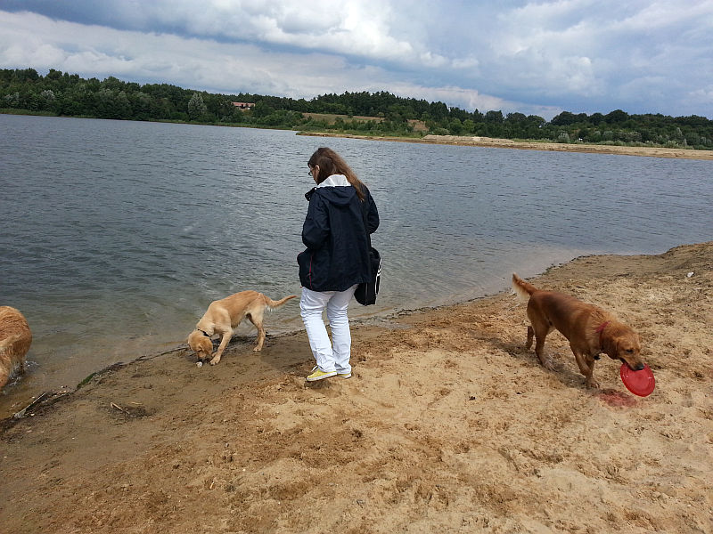 Was hast du da schon wieder?