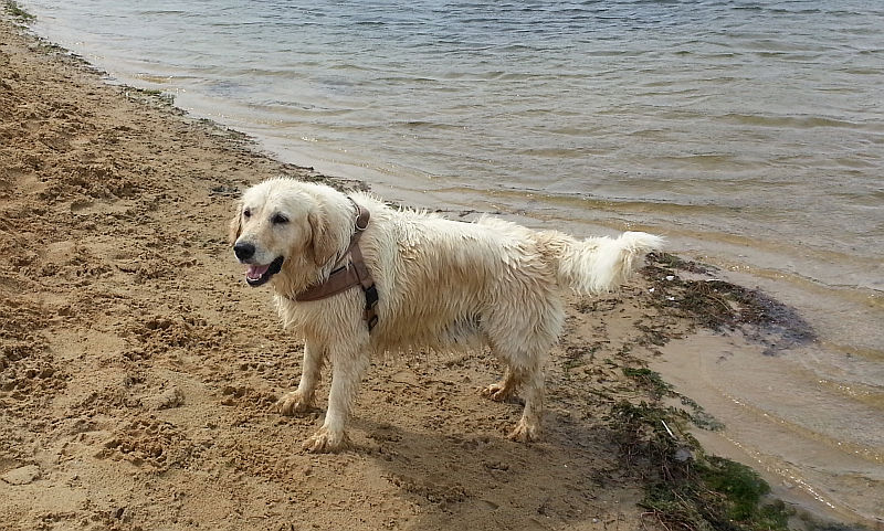 Bonita in ihrem Element