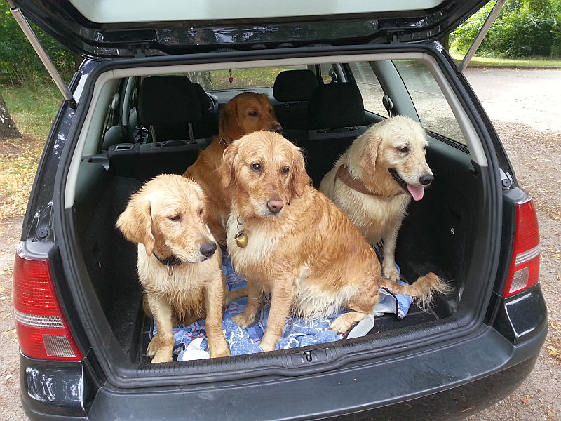 Mit der Familie mach Autofahren richtig Spaß