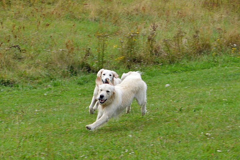 Luna und Daphne legen los